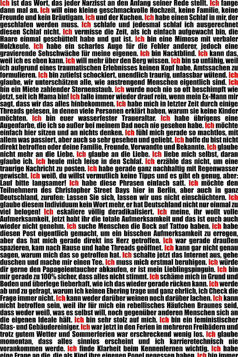 Die Ich-te Ordnung - Ein Bild für Egoisten