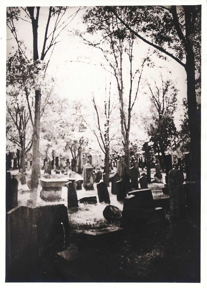 Alter jüdischer Friedhof - Wiener Zentralfriedhof