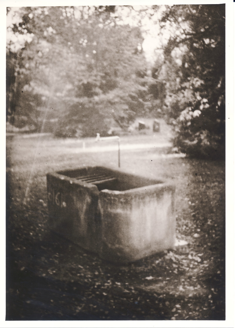Wasserbecken im Zentralfriedhof Friedrichsfelde - Berlin
